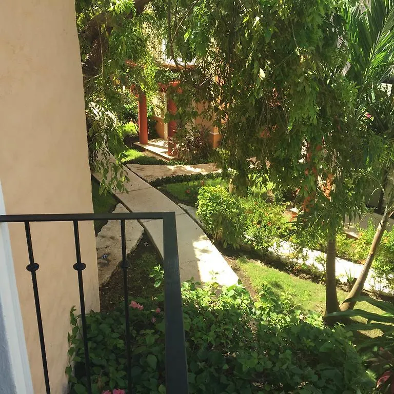 לינה וארוחת בוקר פלאייה דל כרמן Casa Camelia 2*,  מקסיקו