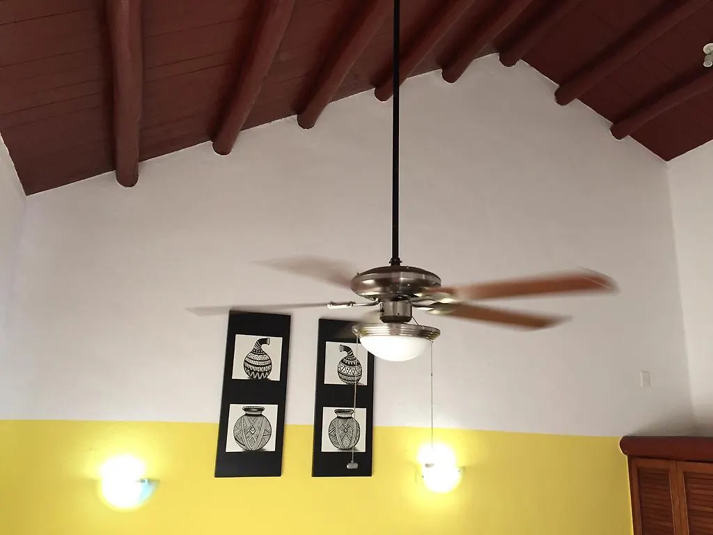 לינה וארוחת בוקר פלאייה דל כרמן Casa Camelia